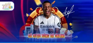 cá cược bóng đá online