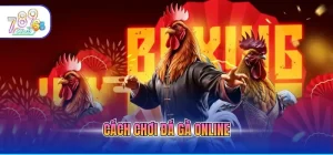 Cách chơi đá gà online