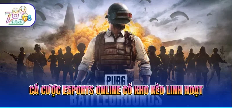 Cá Cược Esports Online – Giải Trí Hấp Dẫn, Sinh Lời Khủng 2 Cá cược esports online có kho kèo linh hoạt