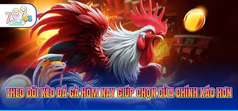 Kèo Đá Gà Hôm Nay Cập Nhật Bảng Kèo Chuẩn Xác Từng Phút 1 Theo dõi kèo đá gà hôm nay giúp chọn cửa chính xác hơn