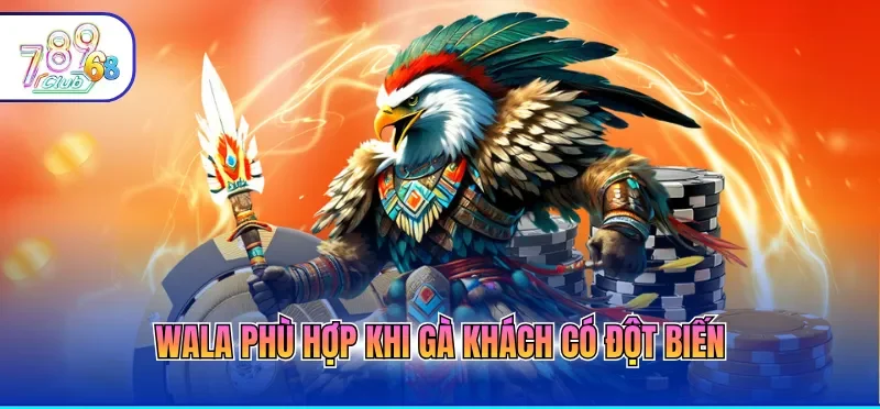 Kèo Đá Gà Hôm Nay Cập Nhật Bảng Kèo Chuẩn Xác Từng Phút 3 Wala phù hợp khi gà khách có đột biến